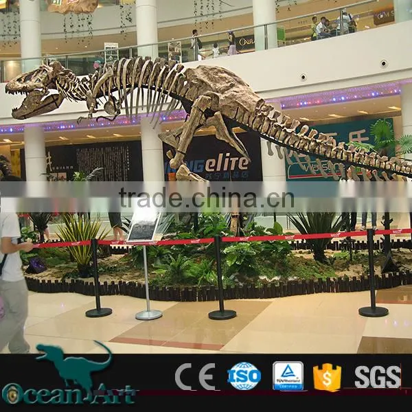 OAV3089 Hot Real Size Dinosaur Bone photo-5