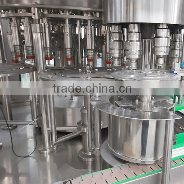 Automatic Fresh Fruit / Hot Juice Bottle Filling Machine photo-2