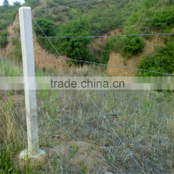 Electro/Hot Dipped Galvanized Double Line Barbed Wire photo-6