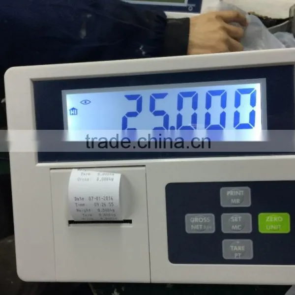 LCD Display Backlight 9901DP With EPSON Printer photo-3