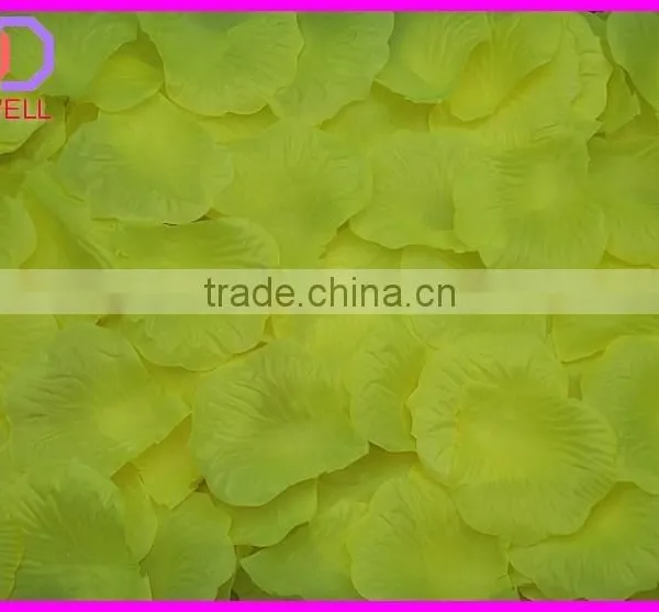 Preserved Natural Rose Petals photo-4
