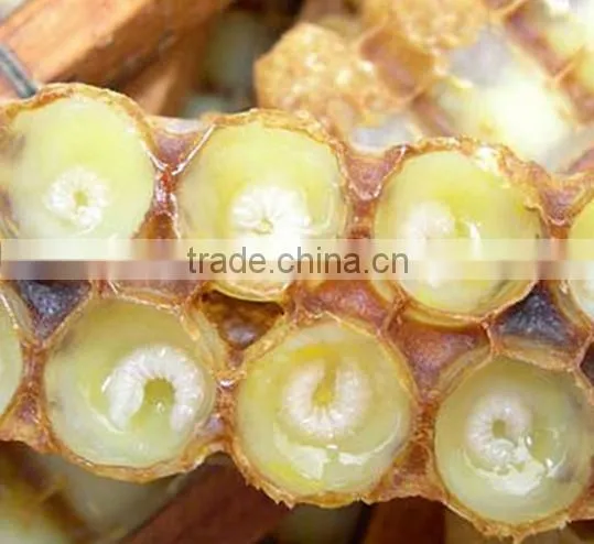 Lyophisized Royal Jelly Powder photo-4