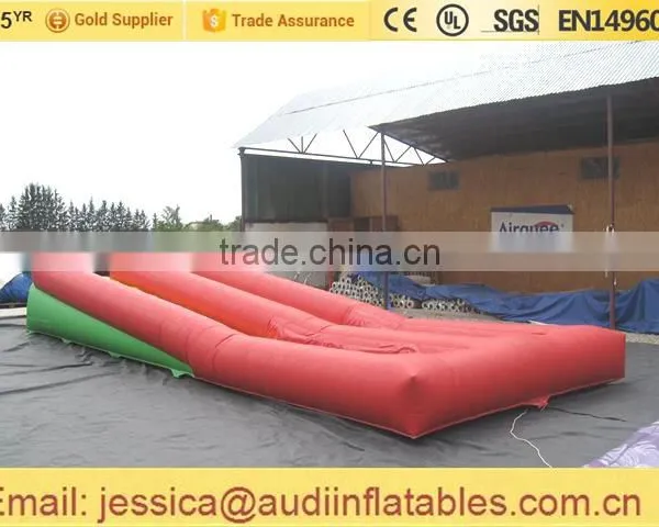 Inflatable Twin Lane Water Slide on Land for Sale photo-2
