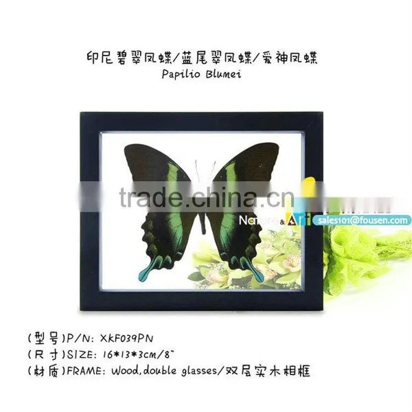 FOUSEN(039) Nature& Art Natural Species Handicraft Article