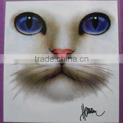 Sublimation Transfer Printing