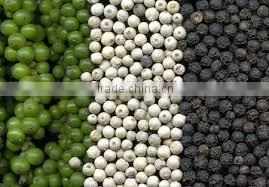 White Pepper 630G/L Doubled Washed Trusted Supplier(Whatsaaps/Viber: 0084965152844) photo-2