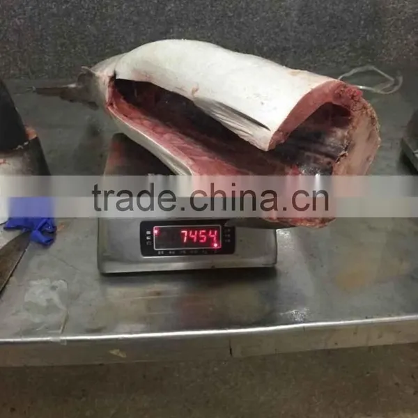 IQF Yellow Tail Scad Fillet Frozen Fillet photo-4