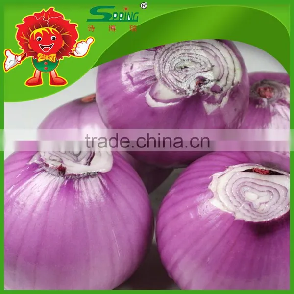 Cheap Onion From China Color Red and Yellow Types Red Onions photo-3