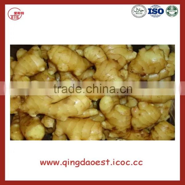 Chinese Fresh Ginger photo-2