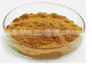 Best Selling Body Energy Rhodiola Rosea Extract for Sale photo-6