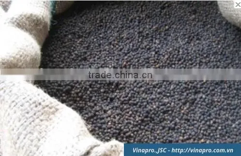 VIETNAM BLACK PEPPER CLEANED 570 G/L (+841657106604 - WHATSAPP) photo-2