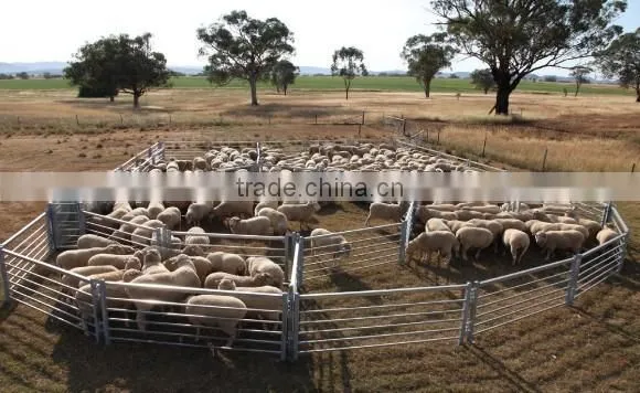 Farm Tractor Trailer Sheep Trailer photo-3