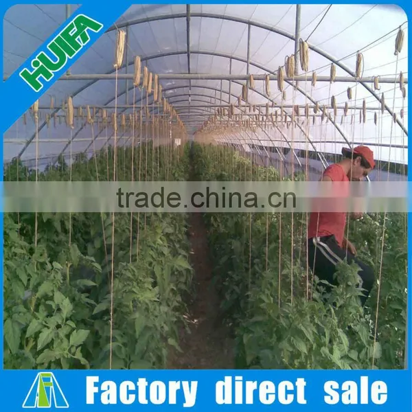 4 Season Greenhouse With All Systems Including Ventilation, Heating and Irrigation photo-6