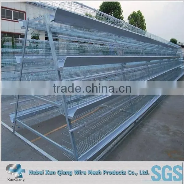 Cheap Chicken Wire Poultry Wire Pvc Coated Chicken Wire Mesh photo-2