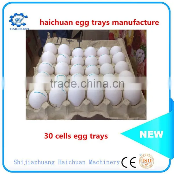 Disposable Paper Plates Paper Trays Factory photo-2