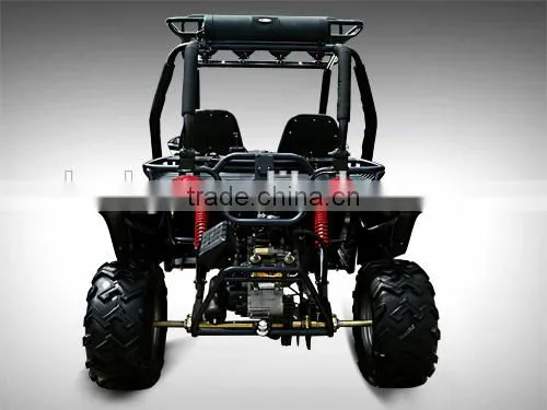 EEC Buggy 250cc photo-6