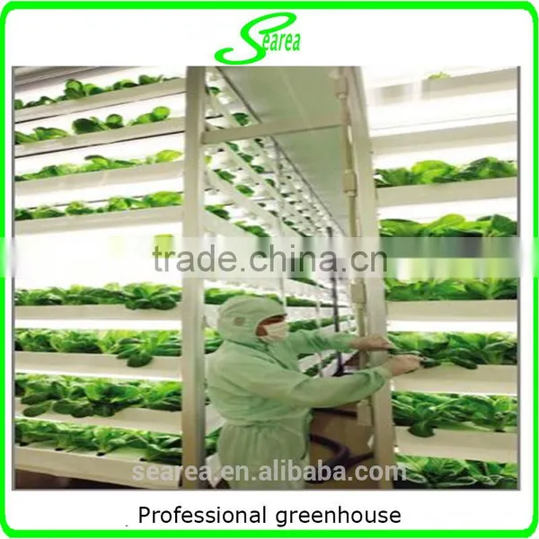 High-tech Greenhouses and Hydroponic Systems for Professional Growers photo-4