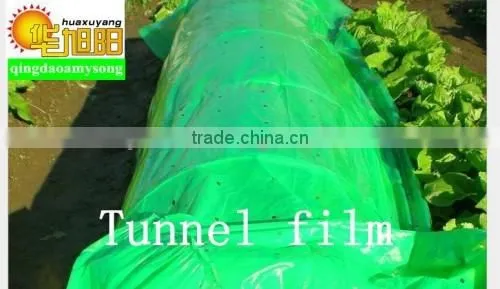 70micorn Thickness PE Plastic Tomato Plant Cover for Agricultural Use photo-2
