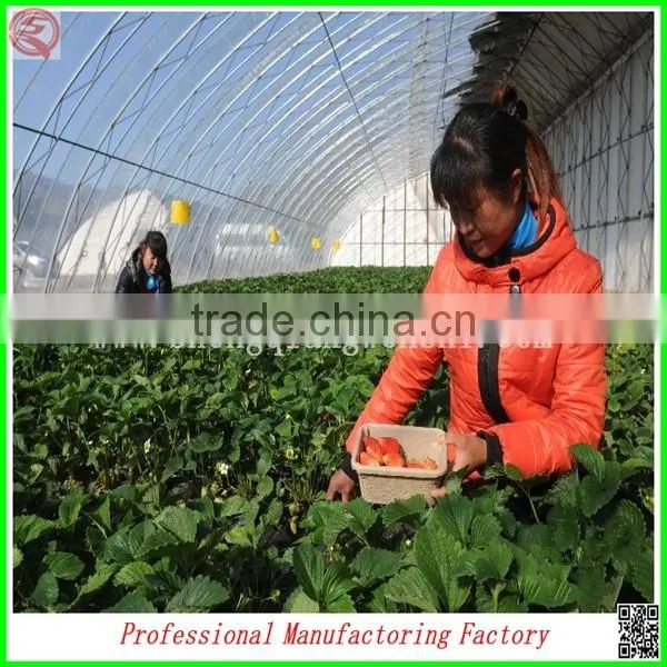 Cheapest Hot-dip Galvanized Steel Frame Multi-span Greenhouse With Manufacturer photo-5