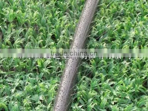 Perforated Pipe photo-2
