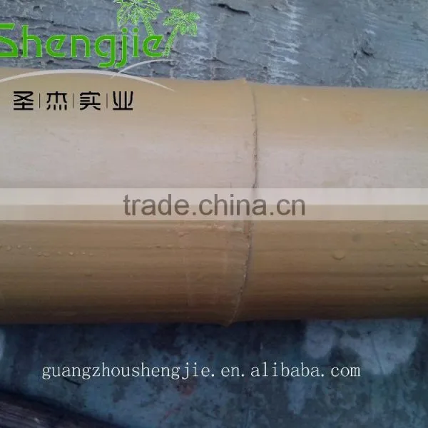 SJLJ013211 Artificial Tree and Plant / Fake Plastic Bamboo Plant for Home / Garden Decoration photo-3