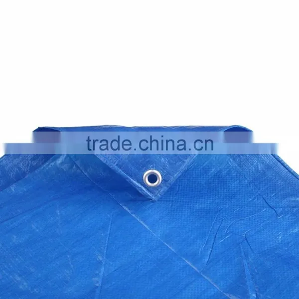 Greenhouse Floor Covering photo-6