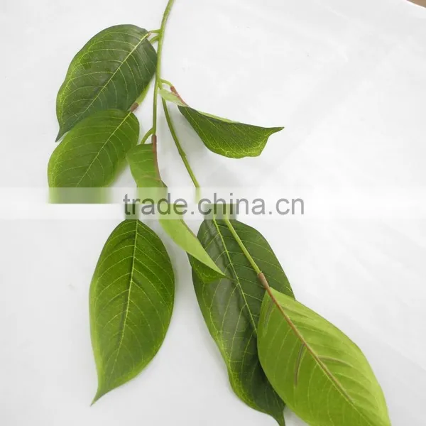 Indoor Christmas Flower Foliage Plant photo-3