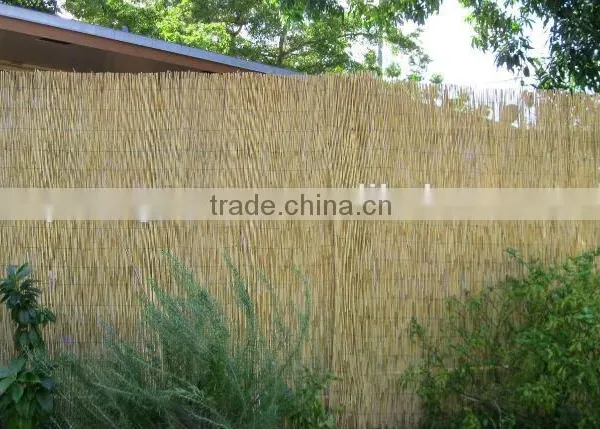 Reed Fence photo-5