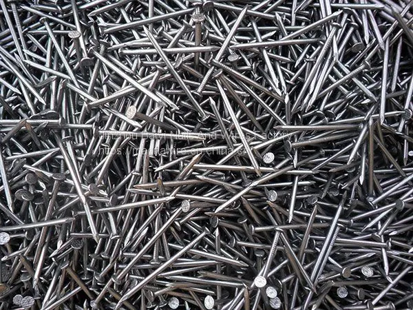 Polished Common Iron Nail photo-5