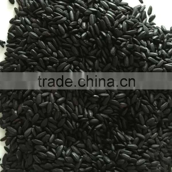 Black Rice