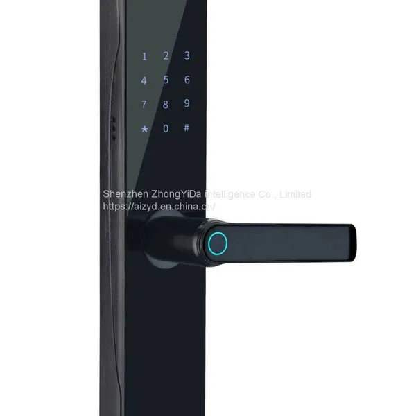 Smart Lock, Fingerprint Lock, Password Lock photo-3