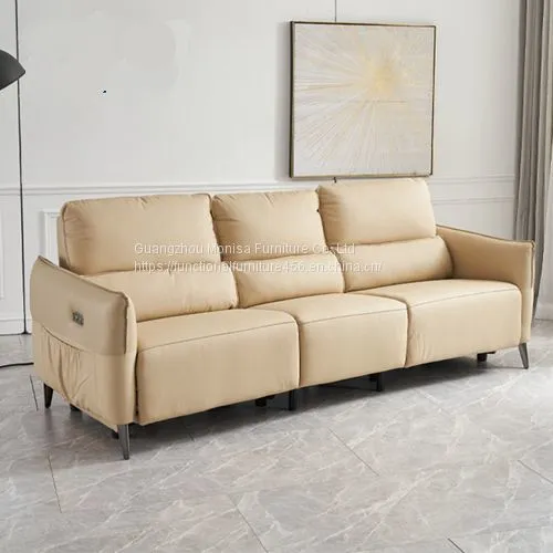 New Modern Minimalist Functional Sofa Living Room Bedroom Three-Person High-Foot Matching Sofa Combination Furniture photo-3