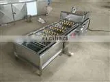 Raisin Production Line photo-3