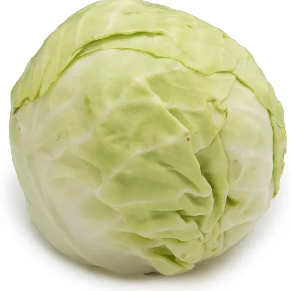 Fresh Cabbage Hot Sale With Best Quality