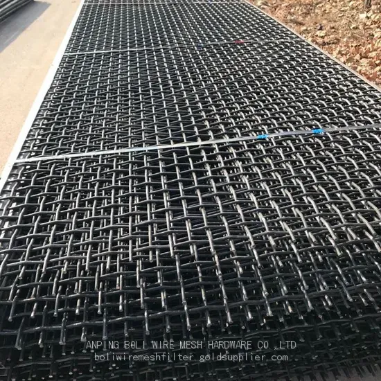 Crimped Wire Mesh for Mining Crusher Screen Wholesale High Quality Stainless Steel Crimped Mesh Screen 304 316 316L photo-4
