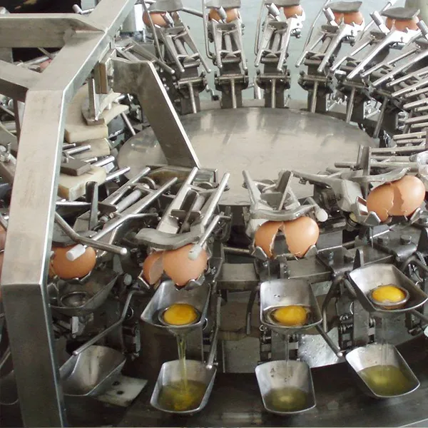 Yolk-white Separation Machine, Washing and Breaking Shell Machine, Egg Liquid Pasteurization Production Line photo-3