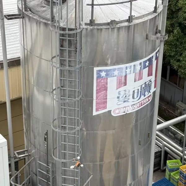 JVL 8mm Lifeline With Extension Post for Cage Ladder and Vertical Silo