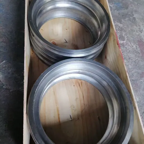 Shanghai Dongfang DFSS600-24N/6 Wear Spare Ring for DFSS Water Pump photo-5