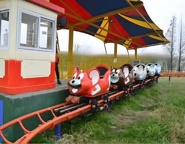 Wild Mouse Roller Coaster photo-3
