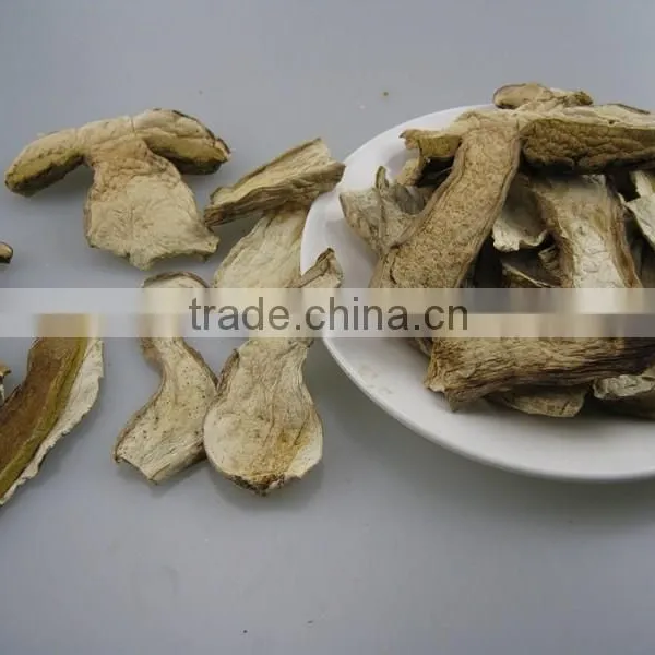 Wild Boletus(porcini) Edulid From Yunnan photo-3