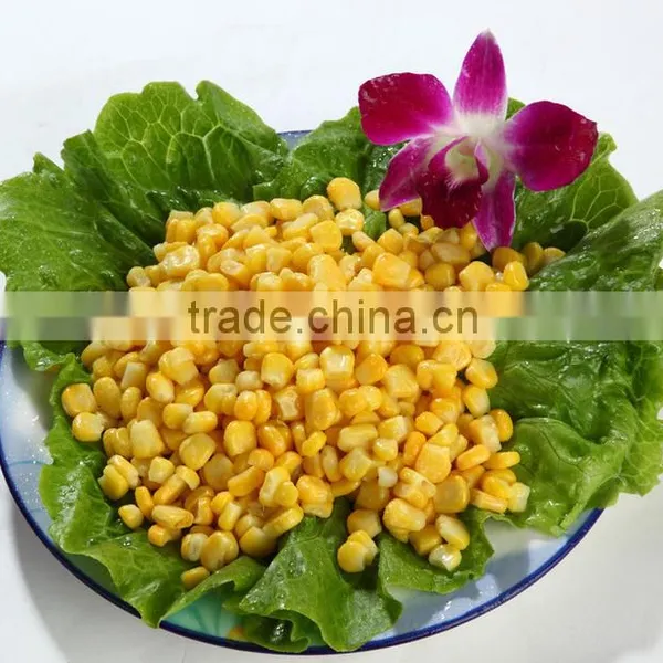 Fresh Corn Thresher TJ-368 photo-3
