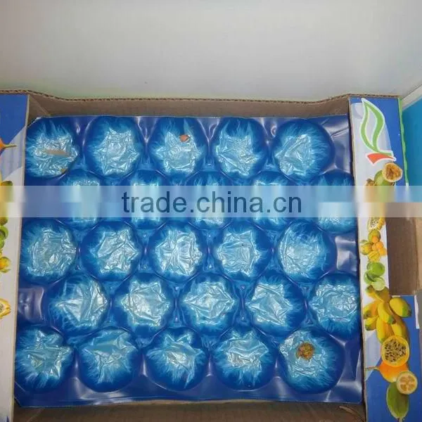 Food Grade Plastic Punnet