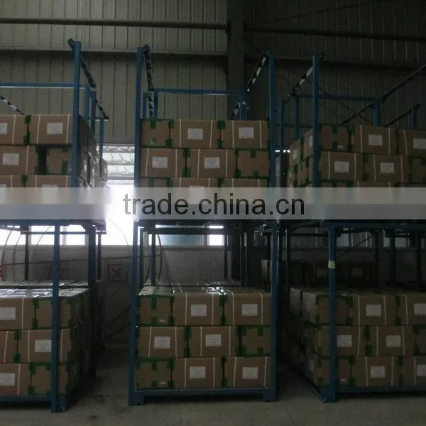 High Quality Bulk Garlic Powder for EU/USA Market With FDA/ISO/HACCP /KOSHER Approved photo-4