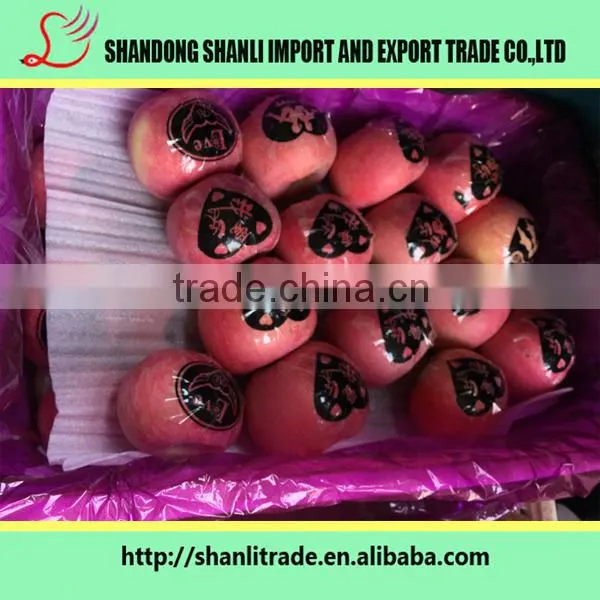 Red Delicious Apples ,delicious and Sweet photo-2