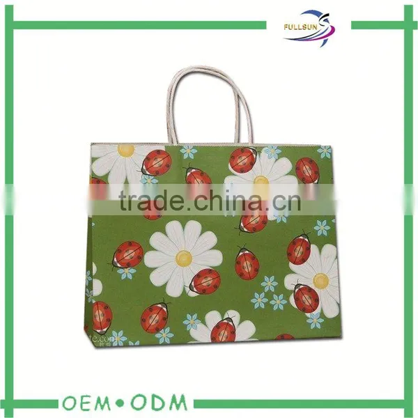 Washable Paper Bag