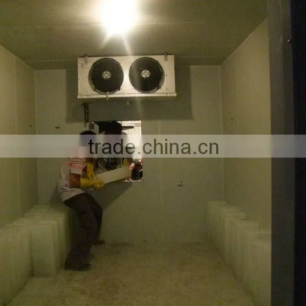 CBFI Container Used Cold Room Price for Nigeria photo-2