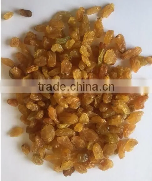 Varies Dried Raisins for Sale photo-5
