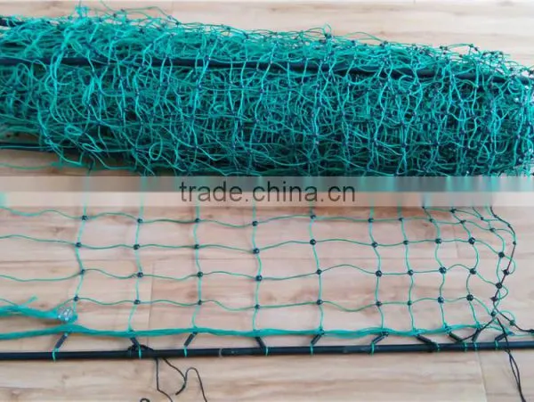 ELECTRIC FENCING NETTING GOAT FARMING photo-5