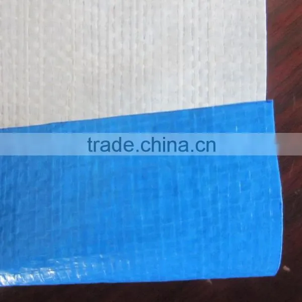 Blue/white Covering pp Tarpaulin - Plastic Canvas, PE Tarpaulin photo-2