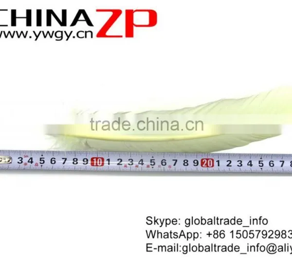 CHINAZP Crafts Factory Cheap Price Dyed Bleached White Solid Color Turkey Rounds Imitation Eagle Feather photo-2